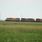 Rochelle Ilinois  - locomotiva da UNION PACIFIC