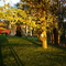thehill 016