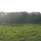 Stockton Field