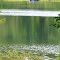 Bryan Lake