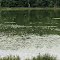 Wiltz Lake