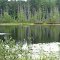 Mysterious shining spots on quiet Courson Lake