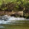 Platte River