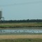 Tank, water and birds on U.S. 65