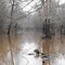 Cut Off creek in winter.