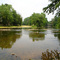 Confluence of Spring Creek and Hickory Creek