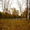 Des Plaines River as seen from Lockport Prairie