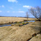 Spring Creek about halfway through its course