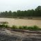 2011 flood White river bridge