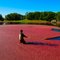 boom on the red pool