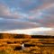 sunset on the marsh