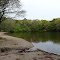 flax pond