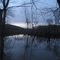 Bugs Swamp