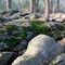 Moss patterns on the rocks in Little Purgatory