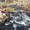 Creek behind Carpenter Reservior