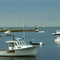 Cohasset Harbor (Minot's Ledge Light-1860)