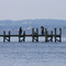 Greenwell State Park