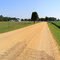 Road to Greenwell State Park