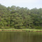 Canal Pond, Assawoman Wildlife Area