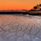 Icy Sunset