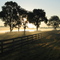 Shawan Valley Dawn