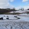 Stafford Road Cow Pasture