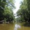 Lower Deer Creek