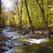 Creek at the Park