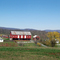 Maryland Farm