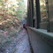 Into the Tunnel
