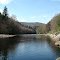 Shavers Fork, Cheat Mtn.
