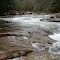 Shavers Fork River