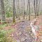 High Falls Trail