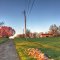 Early Spring Morning on a Maryland Farm, Owings Mills, Maryland (USA) - April 2013