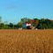 Farm At North Ave. & 33 Mile Rd. (Armada, MI)