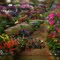 Garden of my dreams!