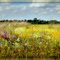 The Field