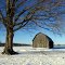 Winter Farm