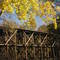 Hamilton Trestle