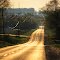 Riley St. Disappears Into the Sunset