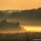 Morning Fog