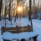 Snow sitting on a bench in West Lake Preserve