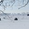 Winter field beside W Avenue