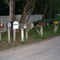 Mailboxes, Saywer, Michigan
