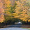 Elm Valley Road near Warren Woods State Park