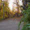 Autumn by the Lake