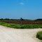 The Most Remote Corner in JoCo (SW: 215th & County Line Rd.)