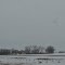 Prairie View, MN