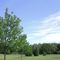 Wisen's Park, Ham Lake, Minnesota
