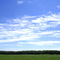 Fields, Trees, and Sky, Ham Lake, Minnesota